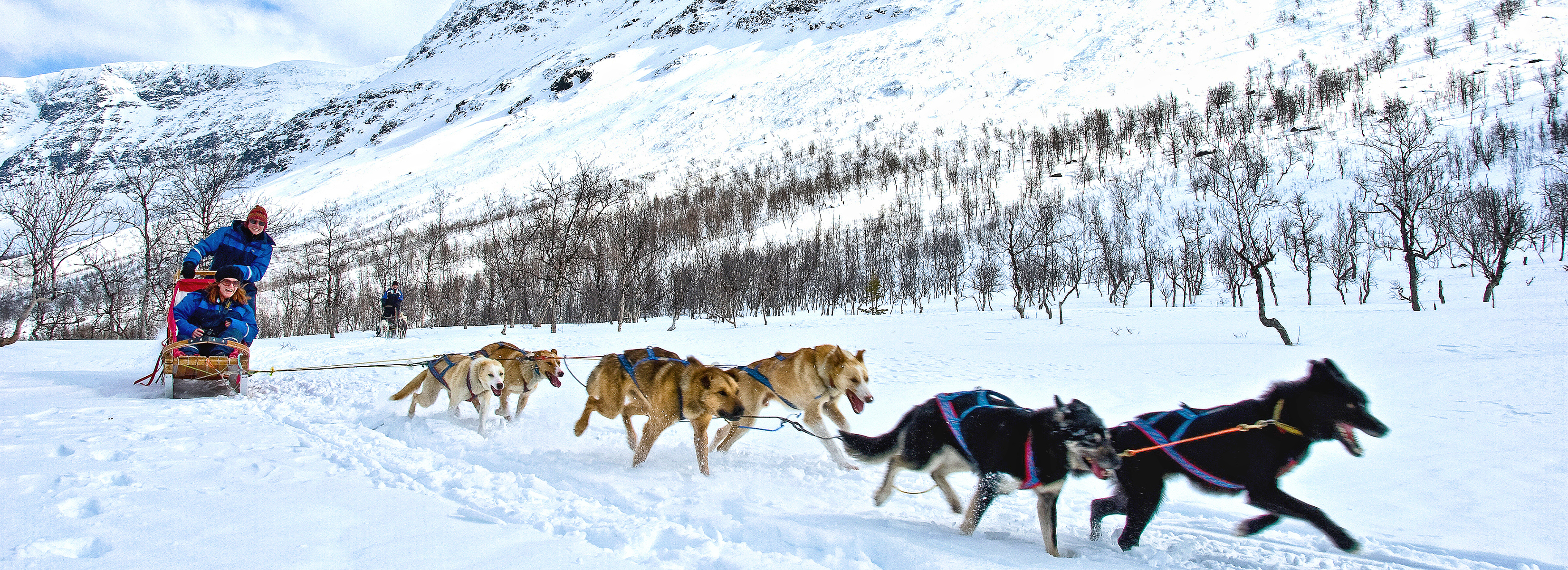 Hero 27 PLEASE CREDIT LYNGSFJORD.COM TOPAZ